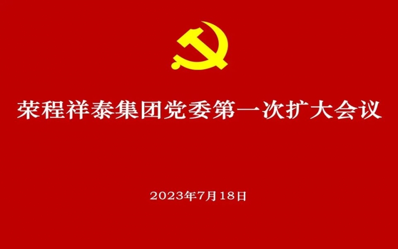 榮程祥泰集團(tuán)黨委獲批成立 黨委高標(biāo)準(zhǔn)部署推動選舉工作