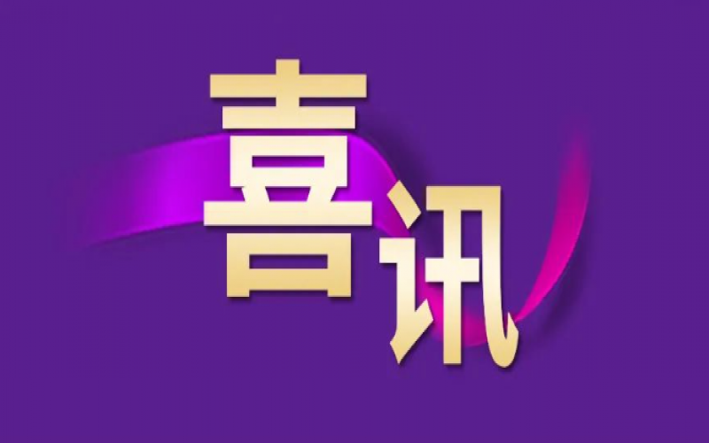 勁升16位！榮程集團(tuán)躍居中國(guó)企業(yè)500強(qiáng)第240位
